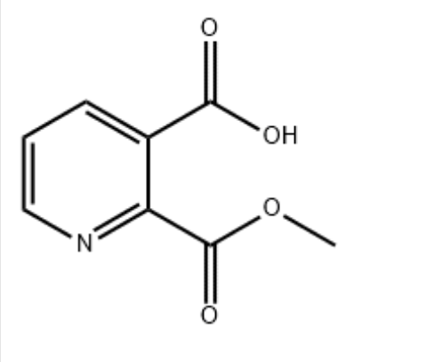 pyridine-2,3-dicarboxylic acid 2-methyl ester